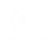 China Insight Travel logo white