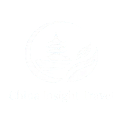 China Insight Travel logo white
