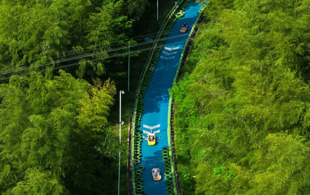 Aerial view of mountain luge track winding through dense bamboo forest with riders on blue course