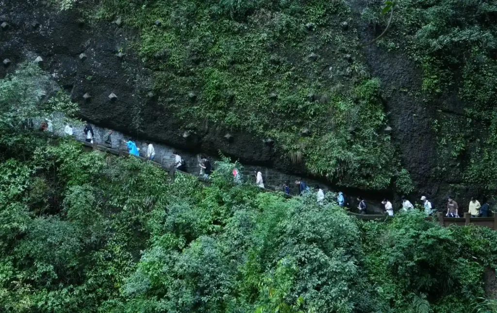 2-Day Chengdu Natural Tour: Dujiangyan and Qingcheng Mountain