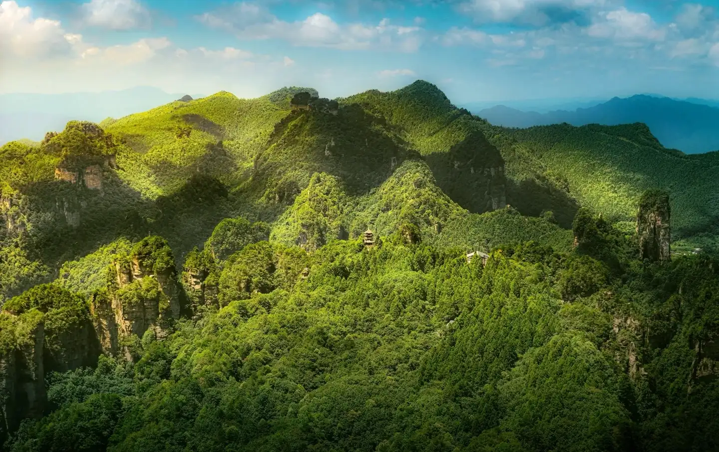 Lush green peaks of Zhangjiajie National Forest Park on a private nature tour