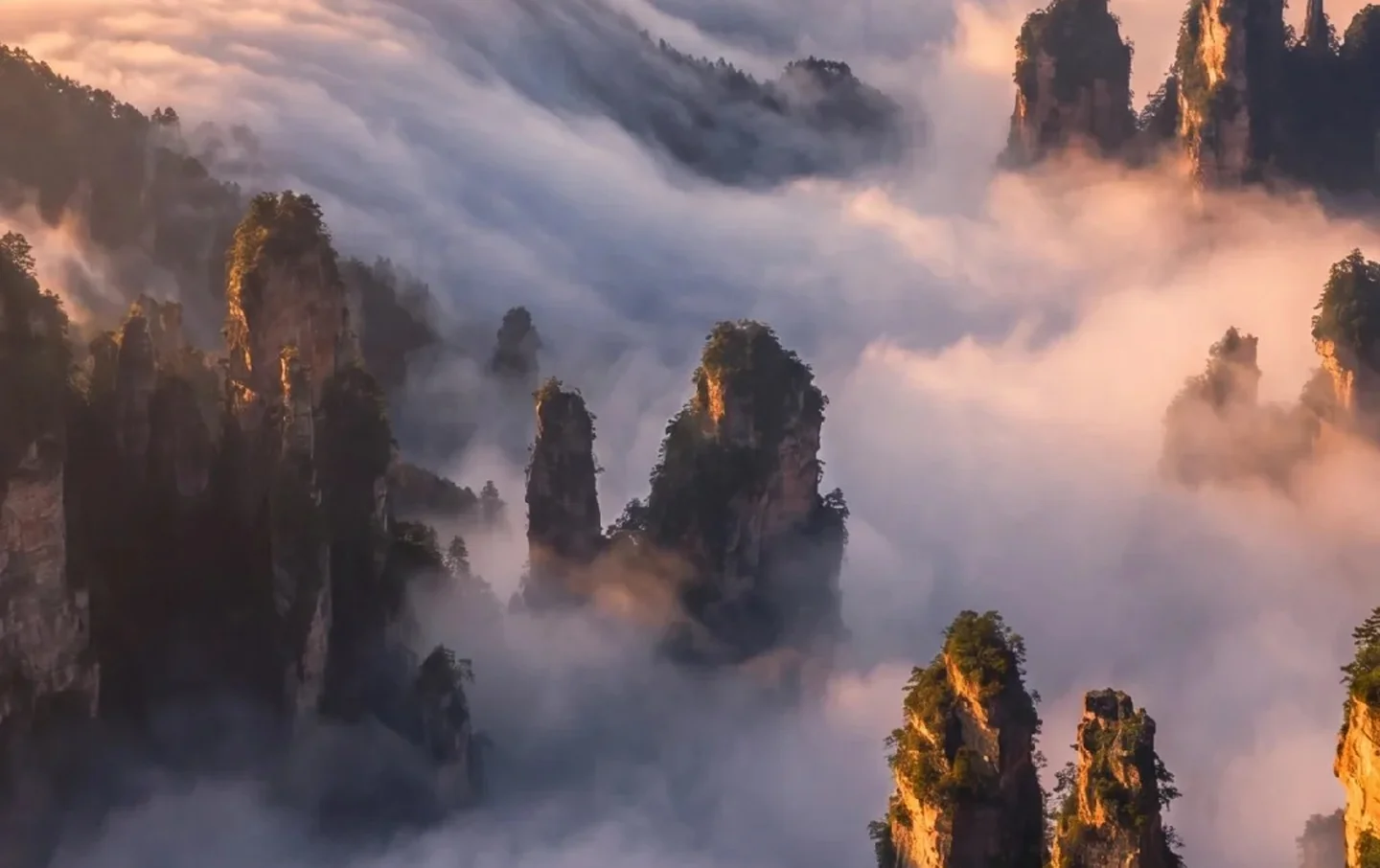 Sea of clouds at sunset over Zhangjiajie's Tianzi Mountain peaks, a bucket-list private tour view