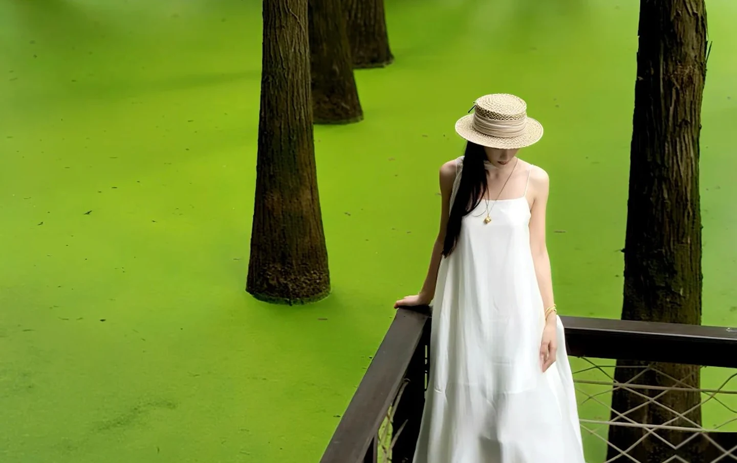 Close-up view of the emerald duckweed water forest boardwalk at Qingshan Lake, Hangzhou